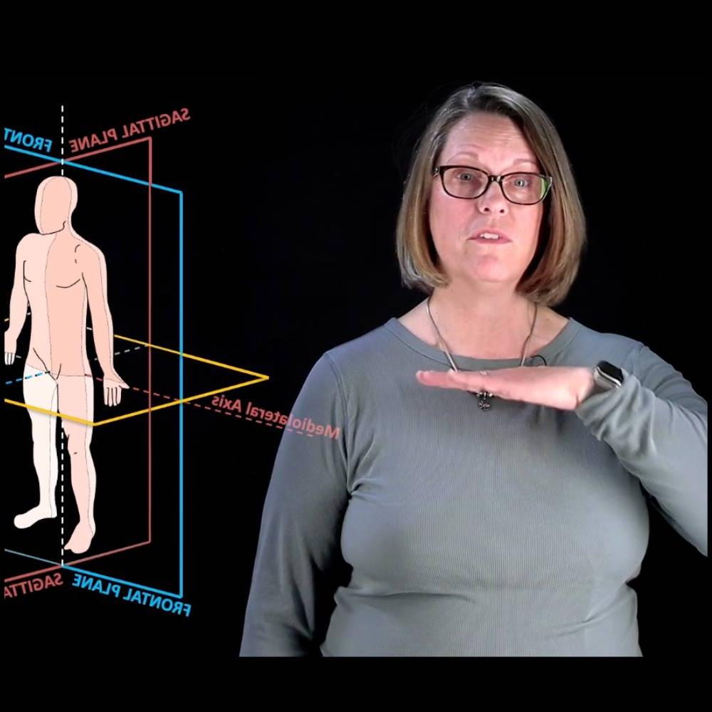 Movement Science Lightboard